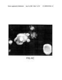 ASSEMBLY OF WILD-TYPE AND CHIMERIC INFLUENZA VIRUS-LIKE PARTICLES (VLPs) diagram and image