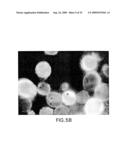 ASSEMBLY OF WILD-TYPE AND CHIMERIC INFLUENZA VIRUS-LIKE PARTICLES (VLPs) diagram and image