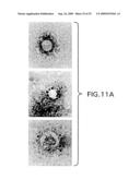 ASSEMBLY OF WILD-TYPE AND CHIMERIC INFLUENZA VIRUS-LIKE PARTICLES (VLPs) diagram and image