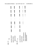 PYROPHOSPHOROLYSIS ACTIVATED POLYMERIZATION (PAP) diagram and image