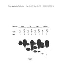 PYROPHOSPHOROLYSIS ACTIVATED POLYMERIZATION (PAP) diagram and image