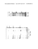 PYROPHOSPHOROLYSIS ACTIVATED POLYMERIZATION (PAP) diagram and image