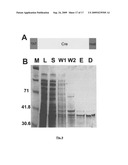 Gene recombination exchange system for stable gene modification in human ES cells diagram and image