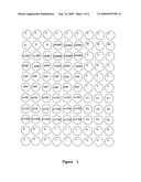 METHODS, MICROARRAY, AND KITS FOR DETECTION OF DRUG RESISTANCE GENES IN GRAM-NEGATIVE BACTERIA diagram and image