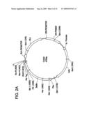 Protein arrays and uses thereof diagram and image