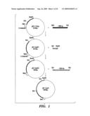 DNA REPLICATION PROTEINS OF GRAM POSITIVE BACTERIA AND THEIR USE TO SCREEN FOR CHEMICAL INHIBITORS diagram and image