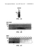 DNA REPLICATION PROTEINS OF GRAM POSITIVE BACTERIA AND THEIR USE TO SCREEN FOR CHEMICAL INHIBITORS diagram and image