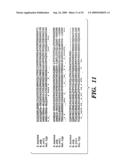 DNA REPLICATION PROTEINS OF GRAM POSITIVE BACTERIA AND THEIR USE TO SCREEN FOR CHEMICAL INHIBITORS diagram and image