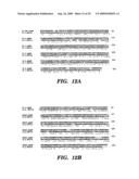 DNA REPLICATION PROTEINS OF GRAM POSITIVE BACTERIA AND THEIR USE TO SCREEN FOR CHEMICAL INHIBITORS diagram and image