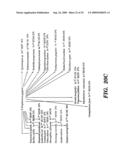 DNA REPLICATION PROTEINS OF GRAM POSITIVE BACTERIA AND THEIR USE TO SCREEN FOR CHEMICAL INHIBITORS diagram and image