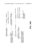 DNA REPLICATION PROTEINS OF GRAM POSITIVE BACTERIA AND THEIR USE TO SCREEN FOR CHEMICAL INHIBITORS diagram and image