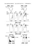 DNA REPLICATION PROTEINS OF GRAM POSITIVE BACTERIA AND THEIR USE TO SCREEN FOR CHEMICAL INHIBITORS diagram and image