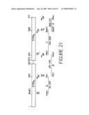 HUMANIZED ANTIBODIES AND METHODS OF HUMANIZING ANTIBODIES diagram and image