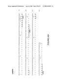 HUMANIZED ANTIBODIES AND METHODS OF HUMANIZING ANTIBODIES diagram and image