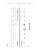 HUMANIZED ANTIBODIES AND METHODS OF HUMANIZING ANTIBODIES diagram and image