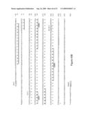 HUMANIZED ANTIBODIES AND METHODS OF HUMANIZING ANTIBODIES diagram and image