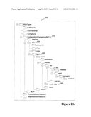 System and Method for Controlling Access Rights to Network Resources diagram and image