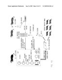 METHODS FOR CLONING FERRETS AND TRANSGENIC FERRET MODELS FOR DISEASES diagram and image