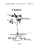 TANDEM REAPEAT DNA CONSTRUCTS PRODUCING PROTEINS THAT ATTACK PLANT PATHOGENIC VIRUSES, FUNGI, AND BACTERIA BY DISRUPTING TRANSCRIPTION FACTORS ESSENTIAL FOR REPLICATION THEREOF IN PLANTS diagram and image