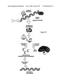 TANDEM REAPEAT DNA CONSTRUCTS PRODUCING PROTEINS THAT ATTACK PLANT PATHOGENIC VIRUSES, FUNGI, AND BACTERIA BY DISRUPTING TRANSCRIPTION FACTORS ESSENTIAL FOR REPLICATION THEREOF IN PLANTS diagram and image