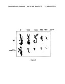 TANDEM REAPEAT DNA CONSTRUCTS PRODUCING PROTEINS THAT ATTACK PLANT PATHOGENIC VIRUSES, FUNGI, AND BACTERIA BY DISRUPTING TRANSCRIPTION FACTORS ESSENTIAL FOR REPLICATION THEREOF IN PLANTS diagram and image