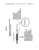 TANDEM REAPEAT DNA CONSTRUCTS PRODUCING PROTEINS THAT ATTACK PLANT PATHOGENIC VIRUSES, FUNGI, AND BACTERIA BY DISRUPTING TRANSCRIPTION FACTORS ESSENTIAL FOR REPLICATION THEREOF IN PLANTS diagram and image