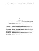 TANDEM REAPEAT DNA CONSTRUCTS PRODUCING PROTEINS THAT ATTACK PLANT PATHOGENIC VIRUSES, FUNGI, AND BACTERIA BY DISRUPTING TRANSCRIPTION FACTORS ESSENTIAL FOR REPLICATION THEREOF IN PLANTS diagram and image