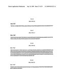 TANDEM REAPEAT DNA CONSTRUCTS PRODUCING PROTEINS THAT ATTACK PLANT PATHOGENIC VIRUSES, FUNGI, AND BACTERIA BY DISRUPTING TRANSCRIPTION FACTORS ESSENTIAL FOR REPLICATION THEREOF IN PLANTS diagram and image