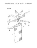 Method for the early afforestation of the useless ground diagram and image