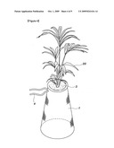 Method for the early afforestation of the useless ground diagram and image