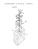 Method for the early afforestation of the useless ground diagram and image