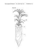 Method for the early afforestation of the useless ground diagram and image