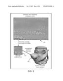 INVERSE TEXTURE SYNTHESIS diagram and image