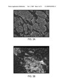 Methods for Assessing Molecular Expression of Subcellular Molecules diagram and image