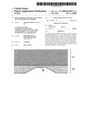 Image Forming Apparatus and Liquid Developer Holding Member diagram and image