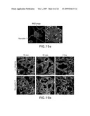 METHODS AND COMPOSITIONS RELATED TO INTERNALIZING RGD PEPTIDES diagram and image