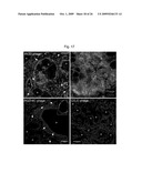 METHODS AND COMPOSITIONS RELATED TO INTERNALIZING RGD PEPTIDES diagram and image