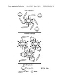 Triggered Self-Assembly of Nanoparticles In Vivo diagram and image