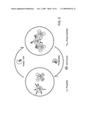 Triggered Self-Assembly of Nanoparticles In Vivo diagram and image