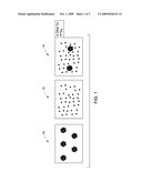 NON-RADIOACTIVE TRACEABLE METAL ISOTOPE-ENRICHED NANOPARTICLES AND METHOD OF THEIR USE FOR DETERMINING BIODISTRIBUTION diagram and image