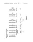 HYPOXIA INDUCING FACTORS AND USES THEREOF FOR INDUCING ANGIOGENESIS AND IMPROVING MUSCULAR FUNCTIONS diagram and image