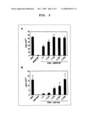 DEVELOPMENT OF METHOD FOR SCREENING FOR DRUG CAPABLE OF IMPROVING PRODUCTION OF REGULATORY T CELLS AND METHOD FOR PRODUCING REGULATORY T CELLS USING IMMUNOSUPPRESSIVE MACROLIDE ANTIBIOTIC diagram and image