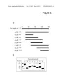 NOVEL SURFACE EXPOSED HAEMOPHILUS INFLUENZAE PROTEIN (PROTEIN E; pE) diagram and image