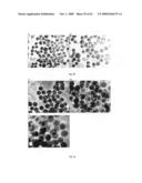 PARTICLES HAVING HYDROPHOBIC MATERIAL THEREIN diagram and image