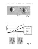 Method for processing ovulated eggs of aquatic animals into delicacy foods and ovulated eggs processed using the method diagram and image