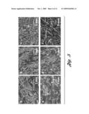 STRUCTURAL POLYMER INSERT AND METHOD OF MAKING THE SAME diagram and image