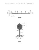 APPARATUS AND METHOD FOR DETECTING MICROSCOPIC LIVING ORGANISMS USING BACTERIOPHAGE diagram and image