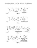 APPARATUS AND METHOD FOR DETECTING MICROSCOPIC LIVING ORGANISMS USING BACTERIOPHAGE diagram and image