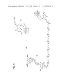 NUCLEIC ACID TERMINATORS INCORPORATING A CATIONIC MOIETY AND METHODS FOR THEIR USE diagram and image