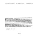 Method for the detection of group B Streptococcus (GBS) (Streptococcus agalactiae) in mammals diagram and image